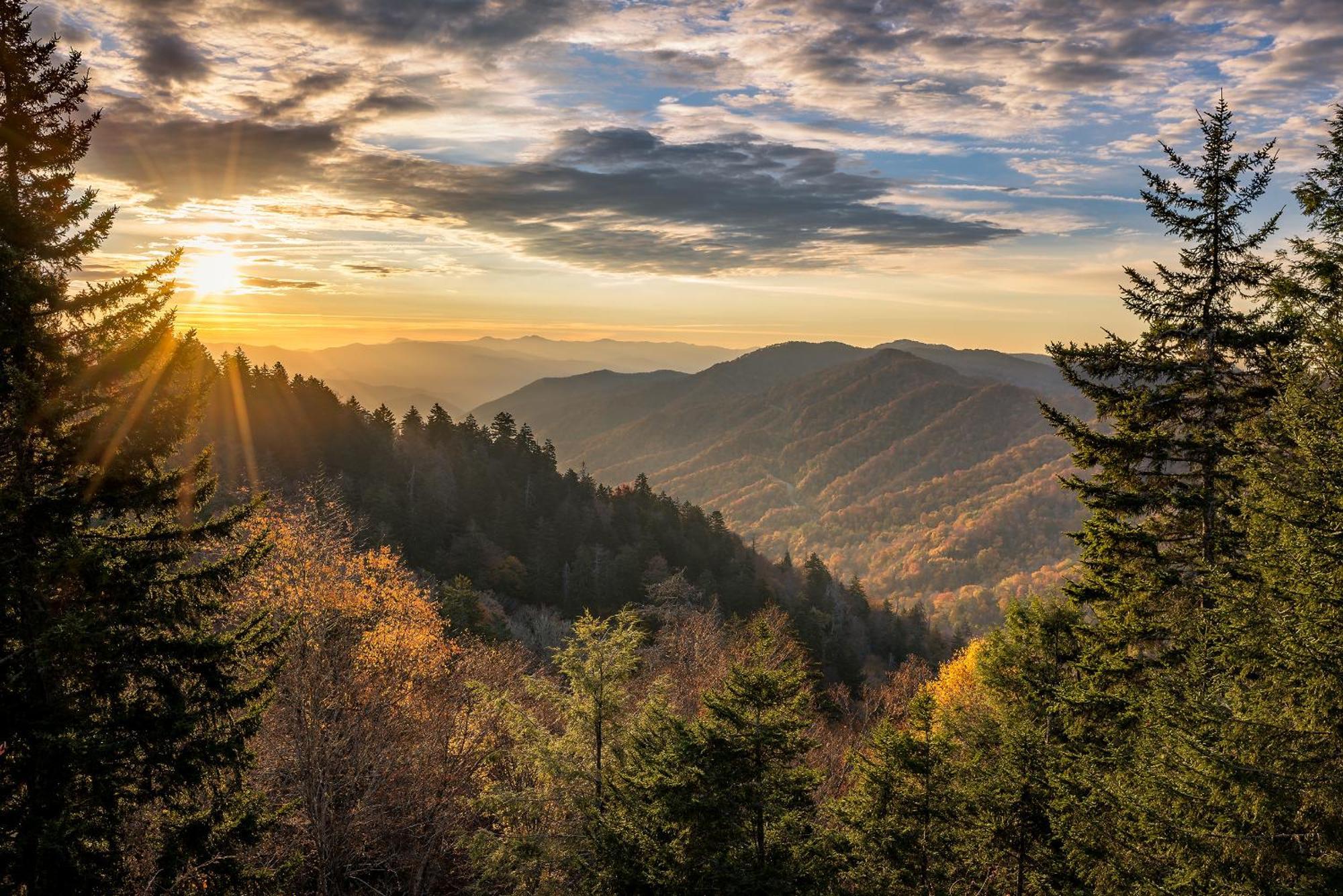 Pine Tree Lodge Гатлинбург Экстерьер фото